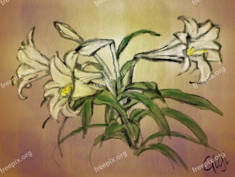 Lilys Flower Own Painting Artwork Painted With Mouse