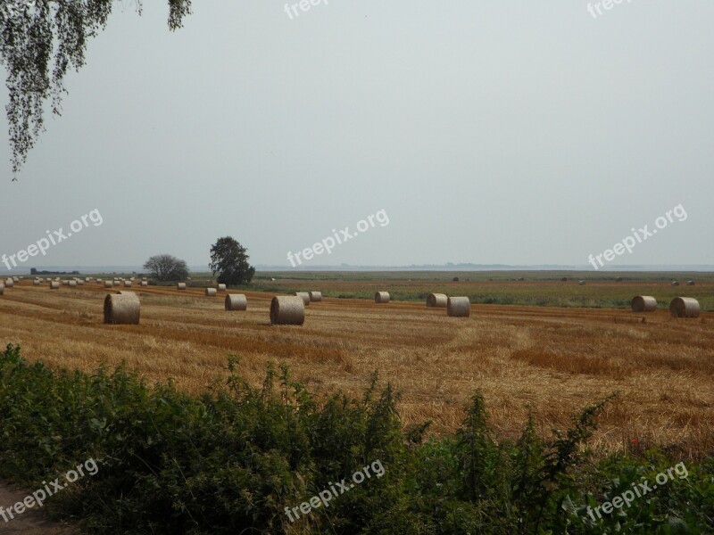 Fields Hay Straw Bales Farm Field