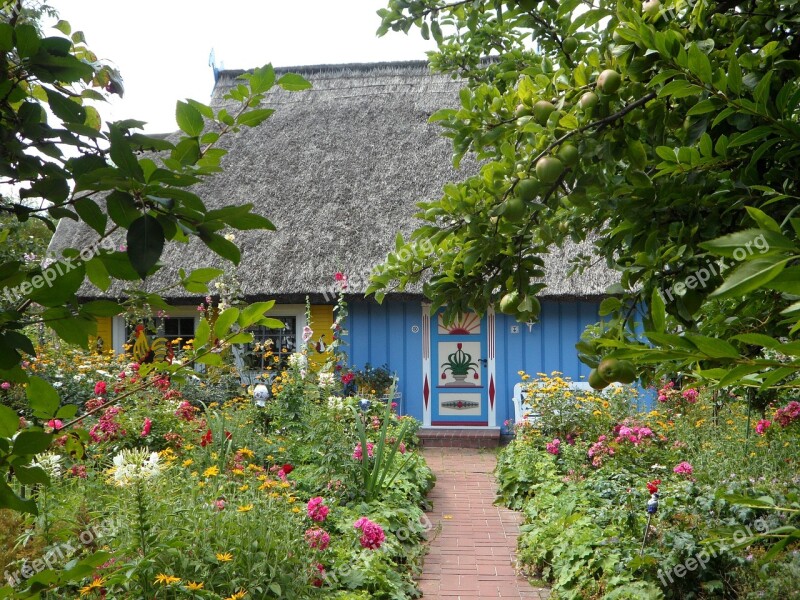 Reed Roof Colorful House Building