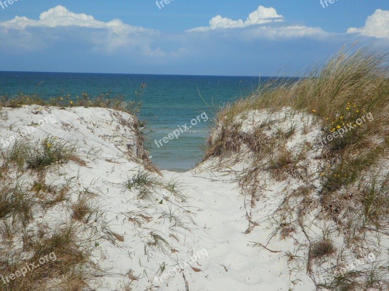 Dune Sand Sea Dune Ridge Path