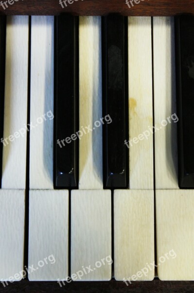 Piano Piano Keys Play The Piano Sound White