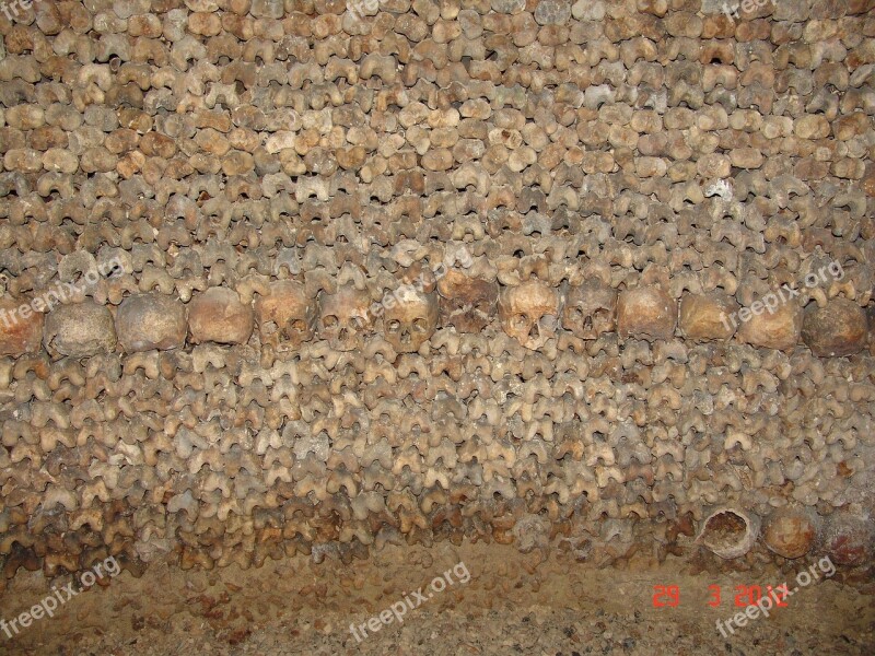 Bones Skull Catacomb Free Photos