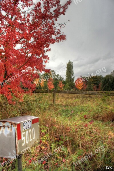 Mailbox Nature Red Trees Sky