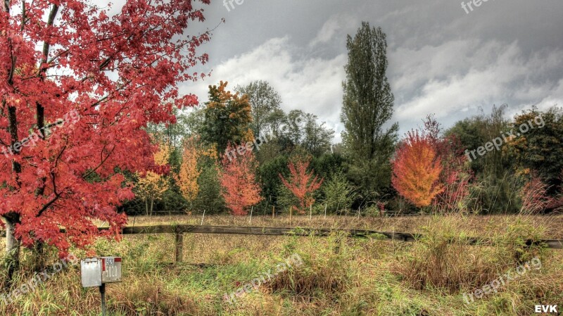 Mailbox Trees Clouds Nature Landscape