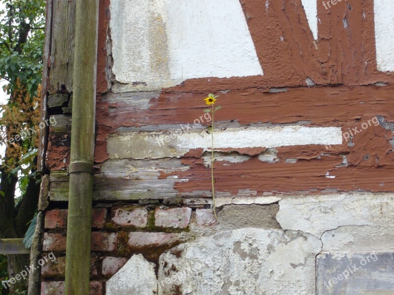 Fachwerkhaus Truss Masonry Old House