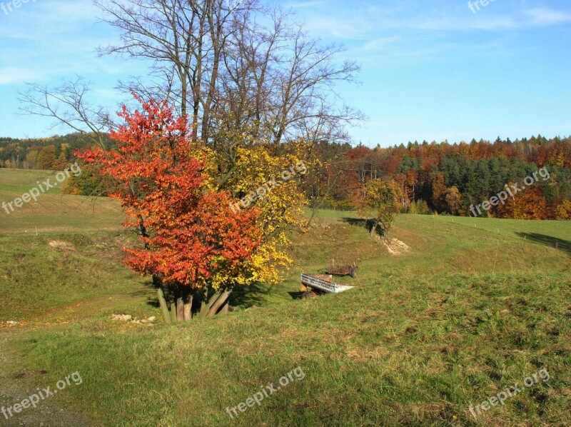 Autumn Agriculture Field Fields Free Photos