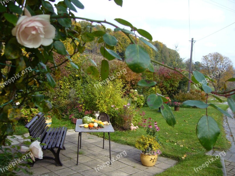 Terrace Bank Cozy Autumn Roses