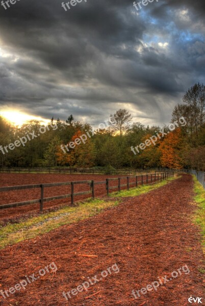 Track Horse Clouds Park Fence