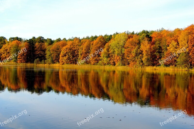 Nature Autumn Trees Lake Krumme Lanke