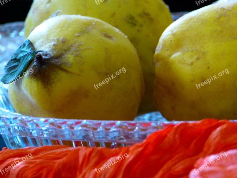 Quince Fruit Pome Fruit Cydonia Oblonga Kernobstgewaechs