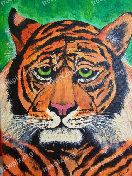 Tiger Wild Painted Free Photos