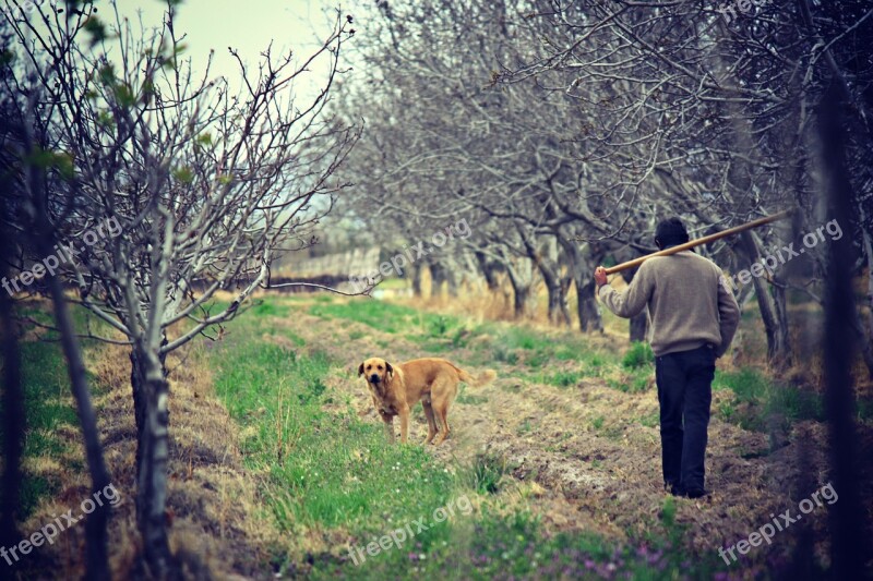 Field Agriculture Nature Man Worker