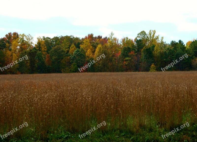 Autumn Fall Meadow Field Hay