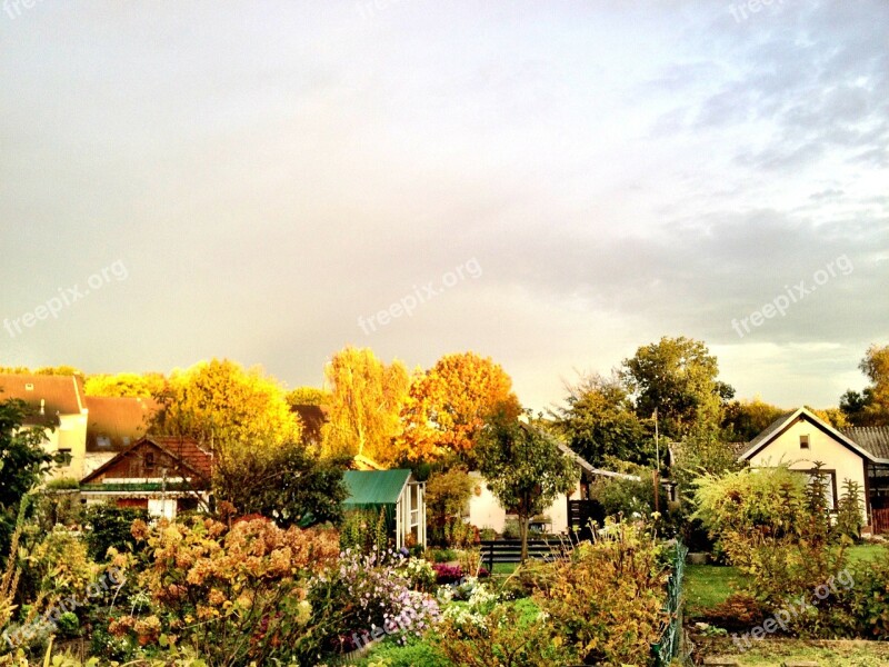 Autumn Garden Nature Allotment Gold