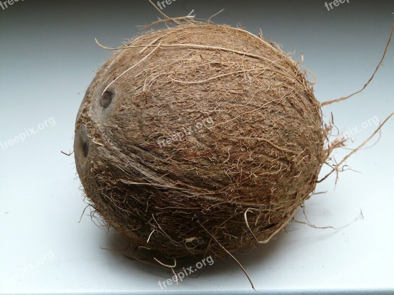 Coconut Coconuts Exotic Sweet Palm