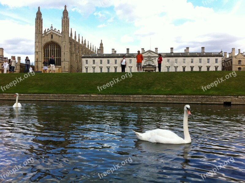 King's College Cambridge Uk Swan Building