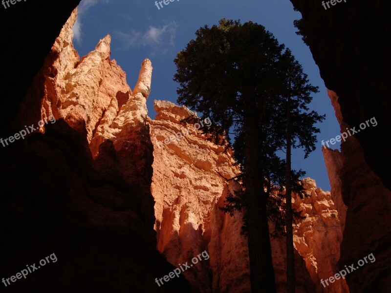 Hoodoos Bryce Canyon Bryce Canyon National Park Sandstone Hoodoo