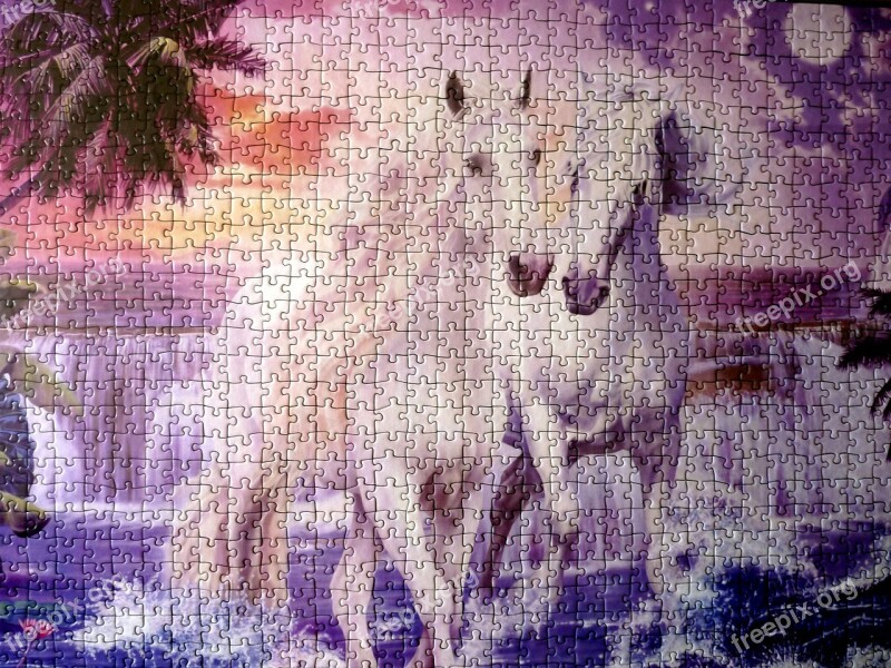 Puzzle Horses Free Photos