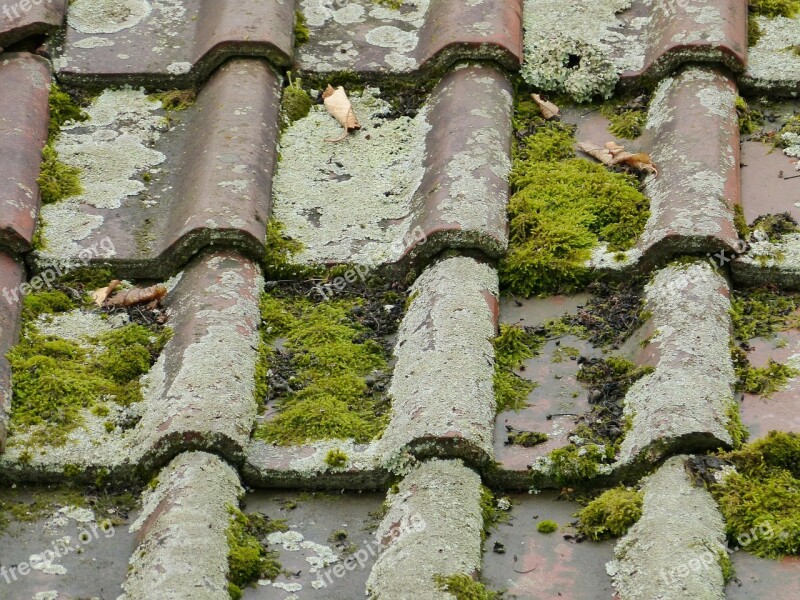 Roof Roofing Tiles Old Moss Weave