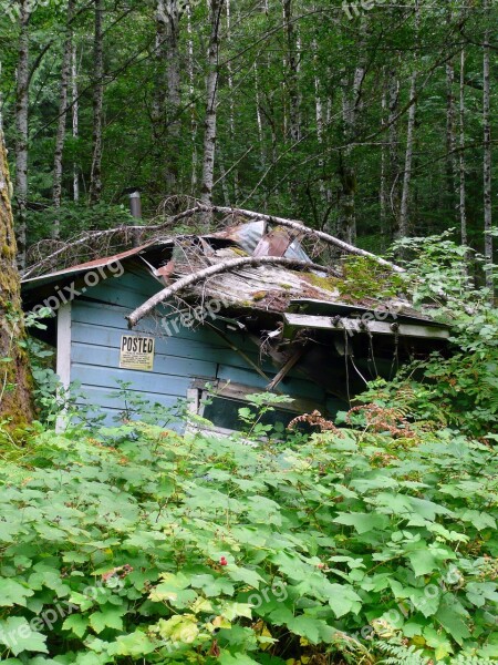 Old Damaged House Nature Forest