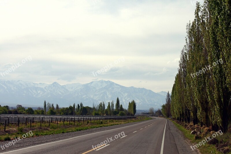 Route Mountain Road Mendoza Landscape