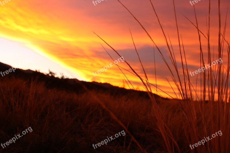 Sunset Grass Sky Field Free Photos