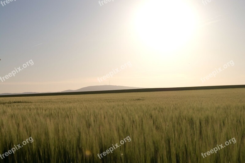 Thunder Mountain Mountain Sunset Field Agriculture