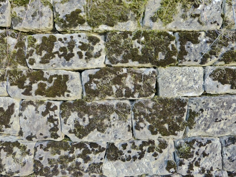 Wall Stone Moss Old Garden