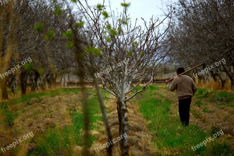 Man Worker Field Agriculture Free Photos