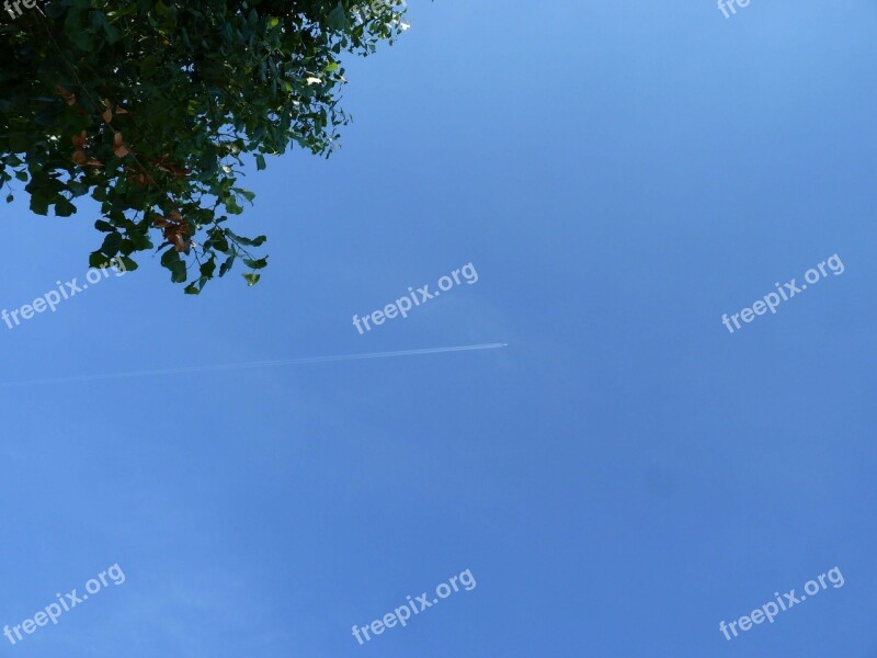 Aircraft Flying Clouds Sky Weather