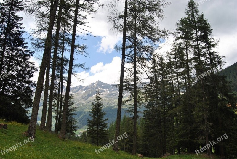 Landscape Mountains Trees Spring Alpe