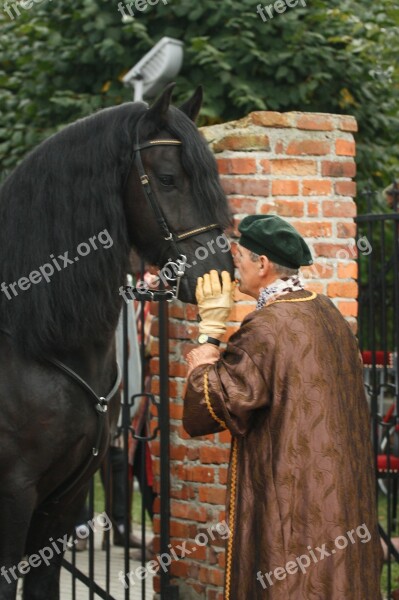 The Horse Horse Head Man Cmoknięcie Friendship