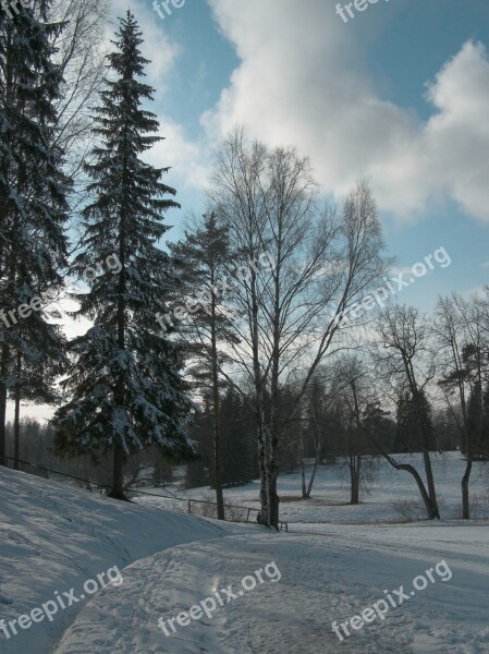 Sky Park Trees Spring Snow