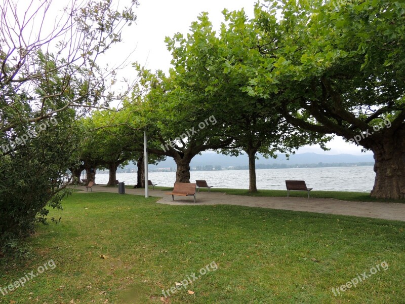 Landscape Lake Lake Constance Germany Free Photos