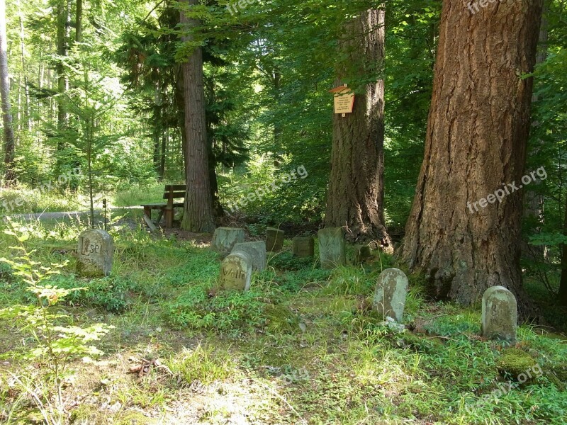 Dogs Animals Grave Graves Rest