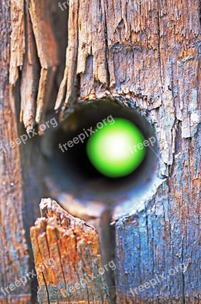 Fence Wood Hole Colorful Pile