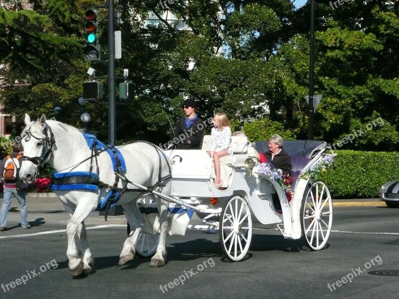 White Coach Horses Victoria British Columbia