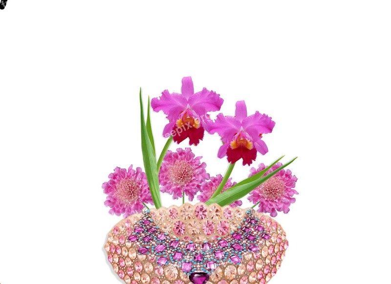 Arrangement Floral Orquideas Pink Paste