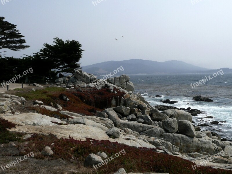 California Usa Coast Shoreline Nature