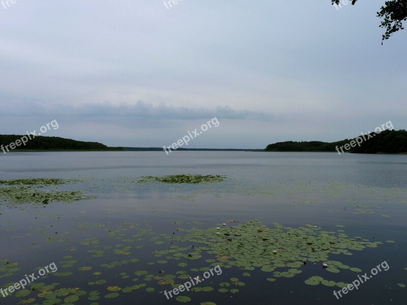 Mecklenburg Mecklenburgische Seenplatte Nature Lake Mood