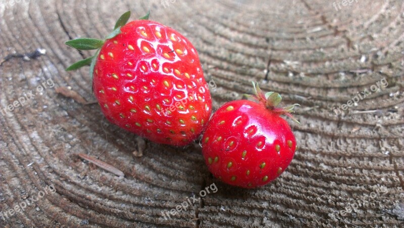 Strawberries Fruit Sweet Red Food