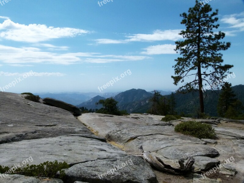 Sequoia National Park California Usa Landscape Nature