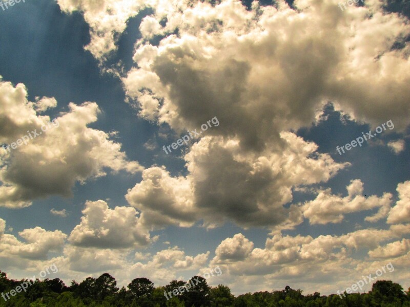 Clouds Sky Blue Trees White Sunlight