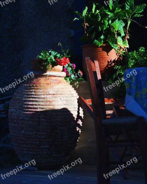 Amphora Ceramic Potty Flowers Arrangement