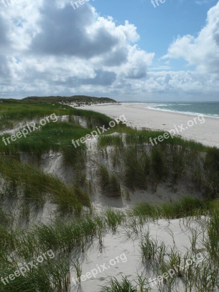 North Sea Dunes Sylt Beach Free Photos