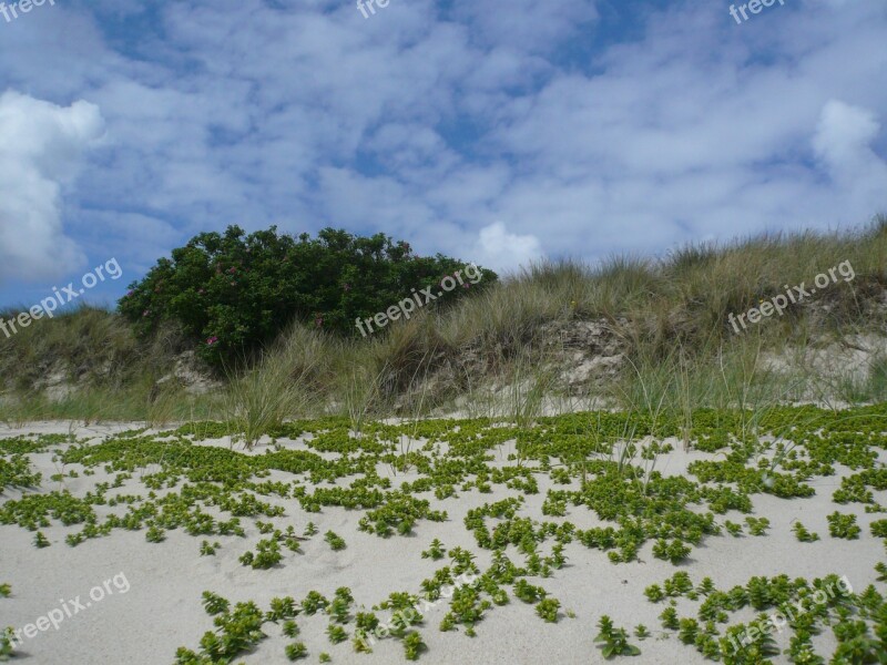 Beach Sylt North Sea Free Photos