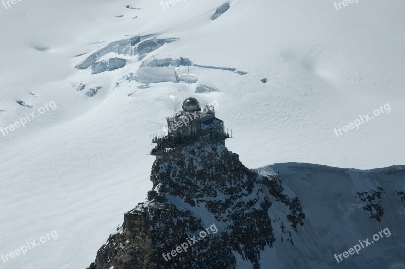 Jungfraujoch Shinx Alpine Free Photos