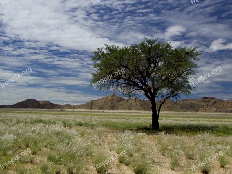 Namibia Africa Tree Clouds Travel