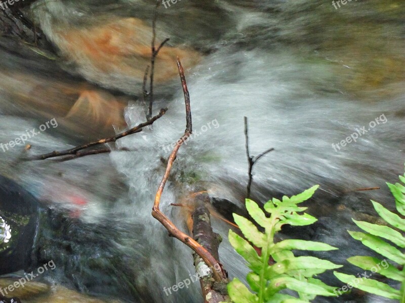 Creek Water Flowing Stream Nature