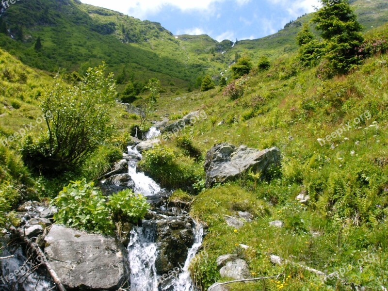 Mountain Stream Bach Mountains Alpine Alpine Walk